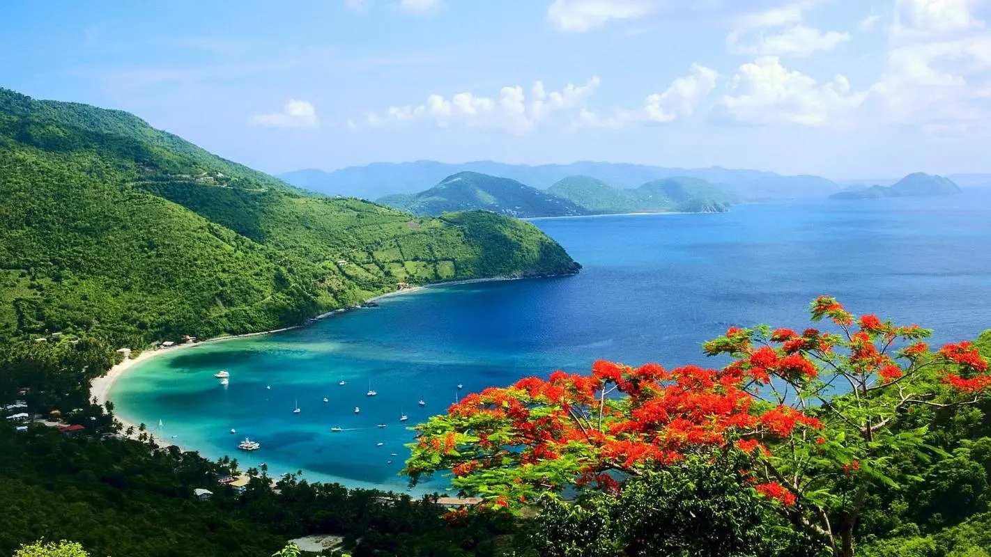 高端绿色高端